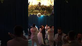 Enamorada pareja demuestra en amor verdadero si existe y la cebra en hermosa fiesta