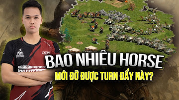 Chim Sẻ đẩy đạp đôi – Bao nhiêu Horse thần mới đủ để cản? | AOE Highlights