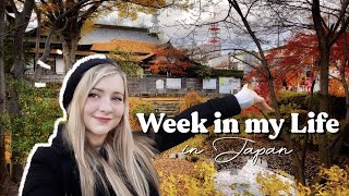 Week in my Life Japan 🇯🇵 Explore Morioka City with me!