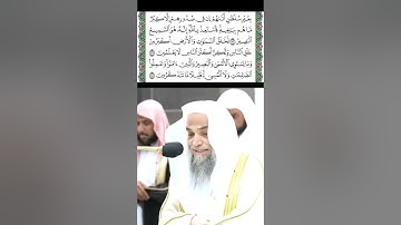 تلاوة من سورة غافر قراءة الشيخ فيصل غزاوي