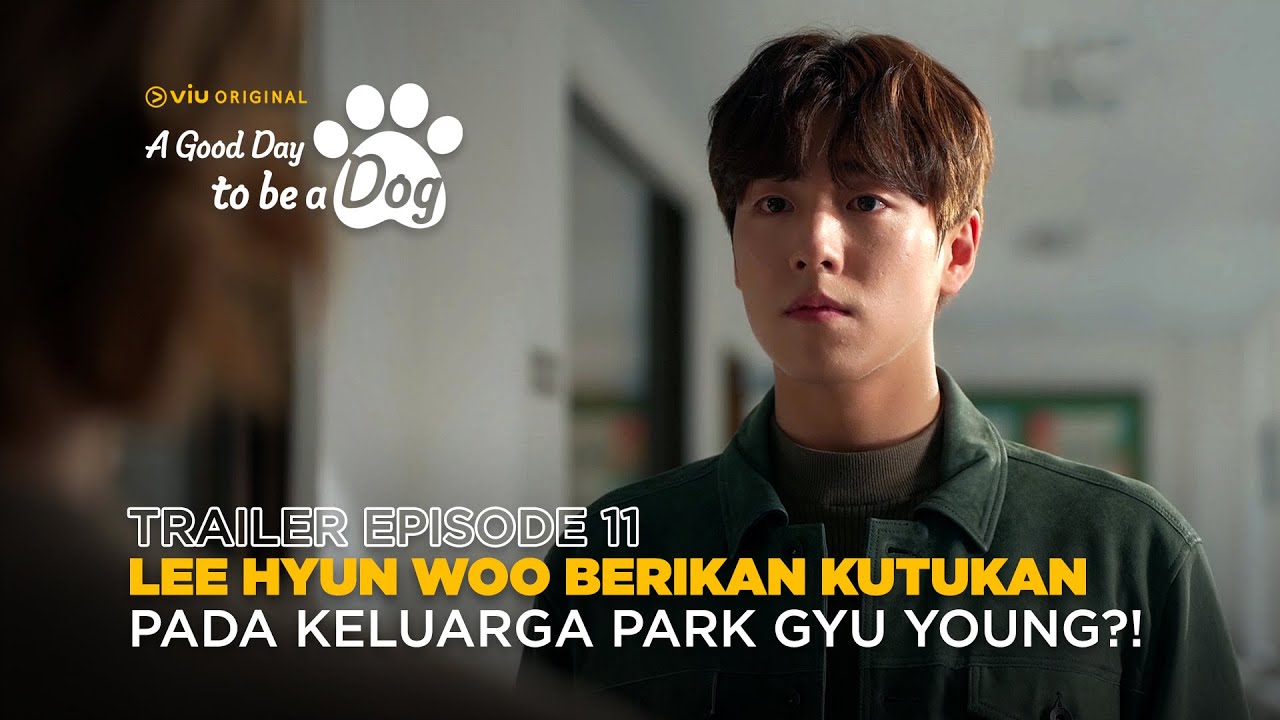 A Good Day To Be a Dog Episode 10 Trailer: Cha Eun-Woo, Park Gyu-Young Get  Suspicious of Lee Hyun-Woo