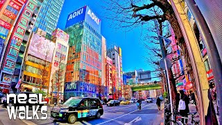 Walk Around Akihabara in Tokyo: Japan's Electric Town