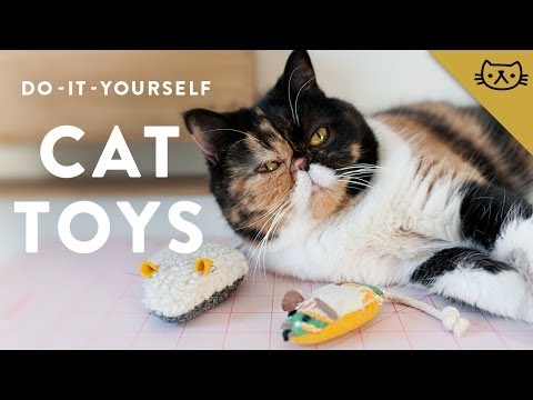 Video: How To Sew A Cat Toy