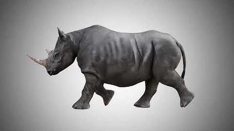 Rhinoceros 3D Model Rigged Low Poly AR VR VFX Game Ready Model