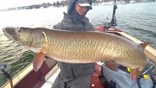 HUGE MUSKY BEFORE THE LAKE FROZE!! by Todays Angler 7,663 views 4 months ago 8 minutes, 53 seconds