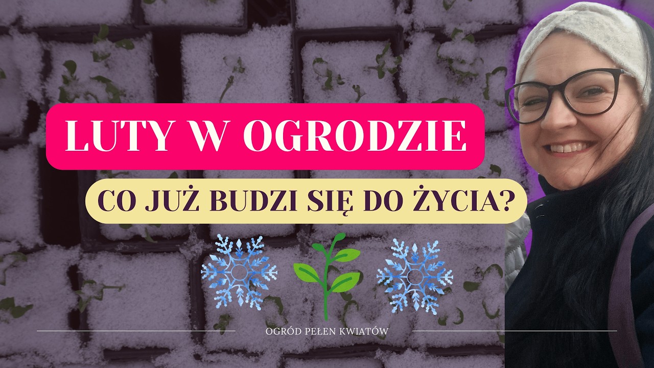 🌿 Spacer po ogrodzie w lutym – co już budzi się do życia? 🌿