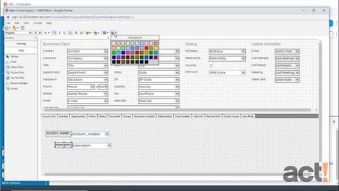 Act! Premium Cloud Training Video - Using the Design Format Bar