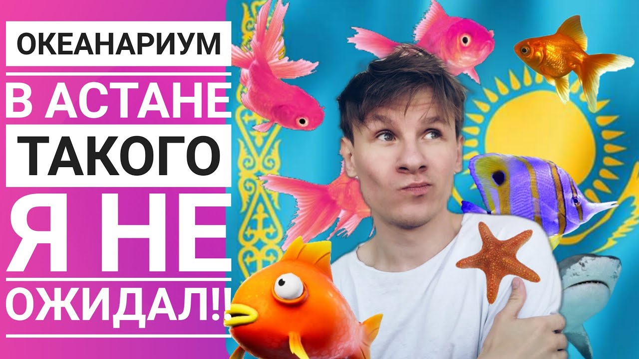 Океанариум в Астане, Жизнь в Казахстане, Русские в Казахстане, - YouTube