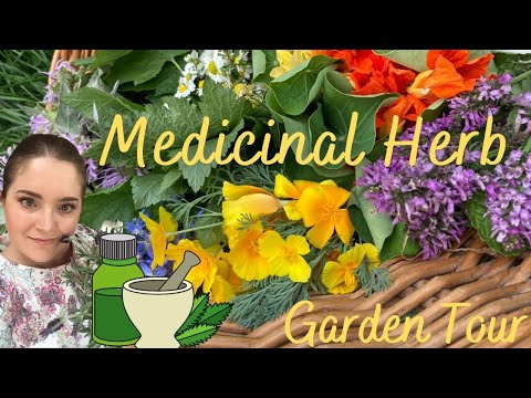 Medicinal Herb Garden Tour | Part 1 of Medicinal series | Perennial Herbs