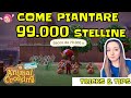 COME PIANTARE 99.000 STELLINE💰Animal Crossing New Horizons Guida ITA
