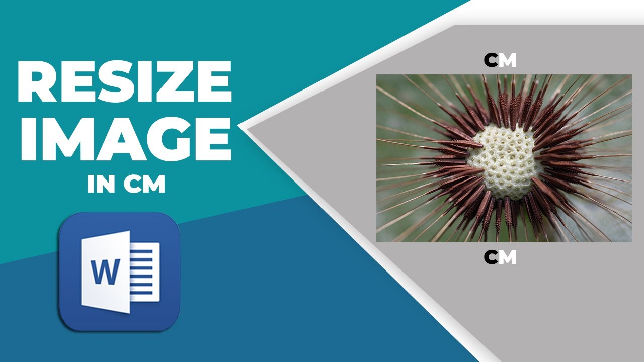 how-to-resize-image-in-word-in-cm-youtube