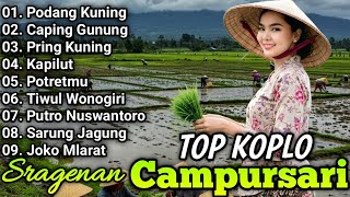 Download Lagu SPESIAL KOPLO CAMPURSARI JAWA COKEK SRAGENAN TERHITS 2025 AUDIO JERNIH FULL BASS GLERR MP3 Download Lagu SPESIAL KOPLO CAMPURSARI JAWA COKEK SRAGENAN TERHITS 2025 AUDIO JERNIH FULL BASS GLERR MP3