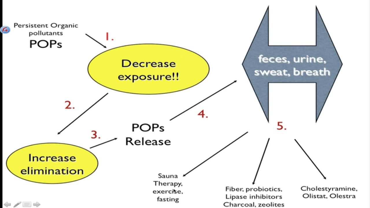 Detoxification Detox Foods Weight Loss YouTube