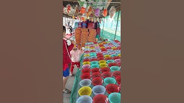 ném bóng vào rổ