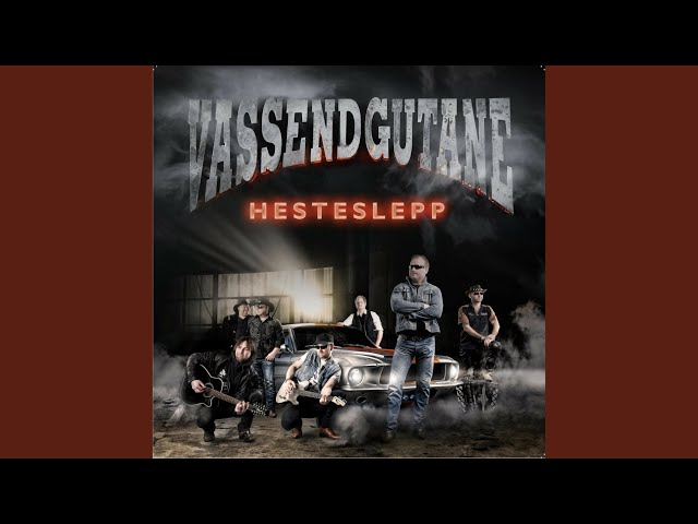 Vassendgutane - Ho Va So Fine