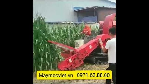 Máy cắt băm cỏ voi liên hoàn đầu kéo 120 ngựa | Máy thu hoạch ngô, cỏ voi giá rẻ