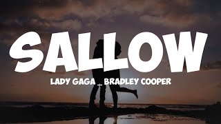 lady gaga_ Bradley Cooper- shallow ( lyrics)