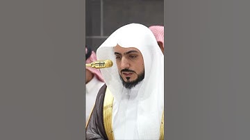 (سورة الزلزلة) الشيخ الوليد الشمسان
