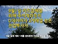 9월1일 계좌정리 디데이까지 3거래일 남은 전업투자자