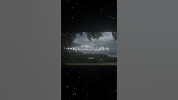 سورة مريم|62_64|القارئ:#محمد_اللحيدان #قران #quran #راحة_نفسية #قران_كريم #تلاوة_هادئة  #تلاوة_خاشعة
