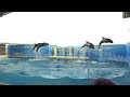 ◆えのすい　きずな（2018．08．12）15：30~ ◆【新江ノ島水族館】