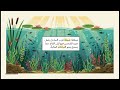 06 الأنظمة البيئية المائية بيئة