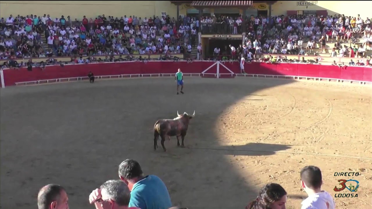 Lodosa, Angustias 2026, Entrada toro con soga, 18:00 19/09/26