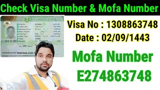 mofa number kaise check karen | how to check mofa number | saudi ka visa number kaise check kare screenshot 3