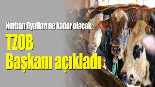 Kurban Fiyatları Ne Kadar Olacak? Türkiye Ziraat Odaları Birliği Başkanı Şemsi Bayraktar Açıkladı