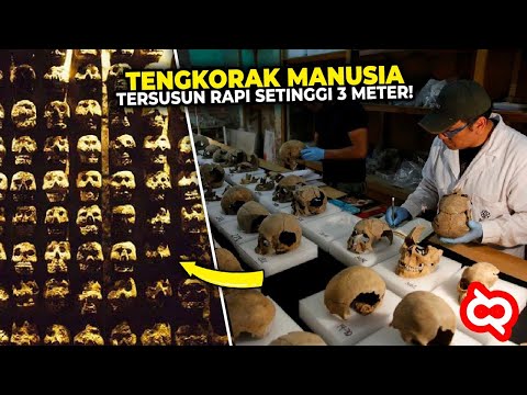 Video: Para Ilmuwan Telah Menemukan Tengkorak Berusia 37.000 Tahun Yang Mampu Menulis Ulang Sejarah - Pandangan Alternatif