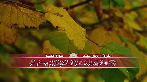 سورة الحديد مكتوبة القارئ رزكار محمد بجودة عالية HD