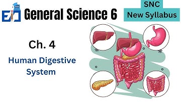 Human Digestive System | General Science 6th SNC Chapter 4