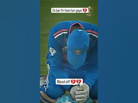 Animal not animals - YouTube