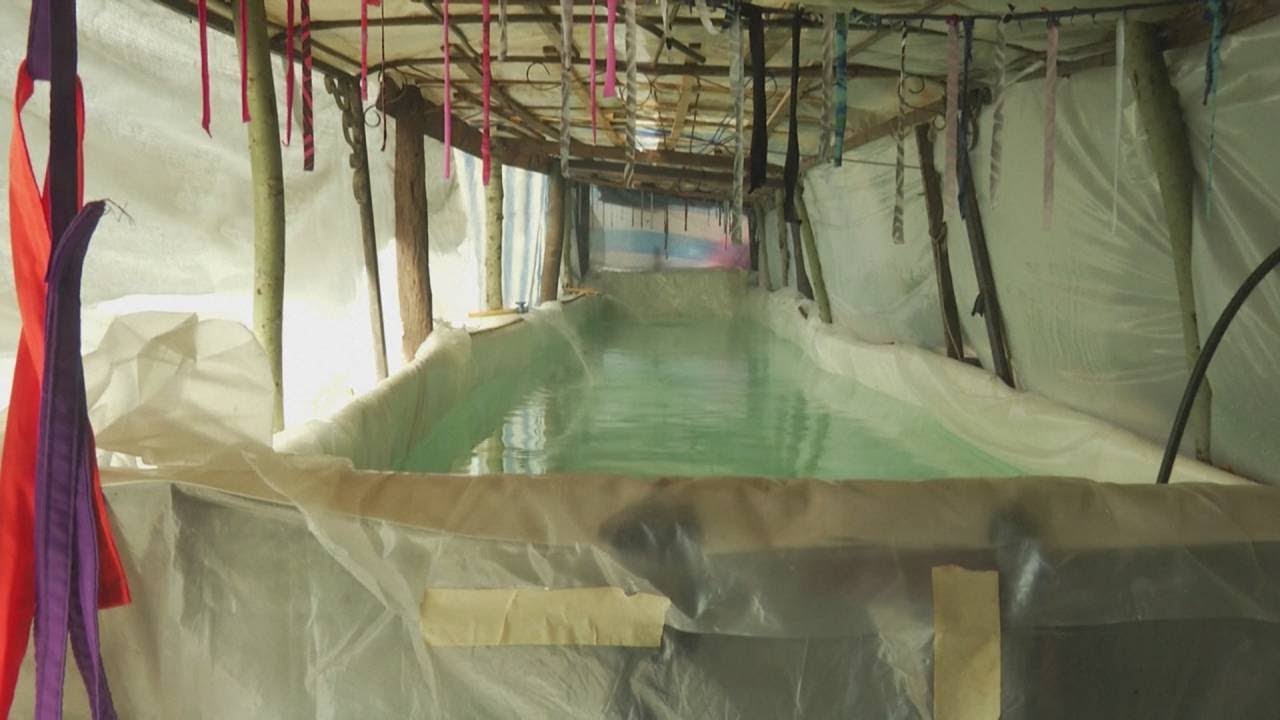 Zwembad gesloten? Paralympische zwemmer bedenkt een list