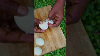 Egg Recipes || #shorts