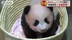 赤ちゃんパンダ公開を前に  上野動物園が全面禁煙へ