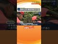 ベテランハンターが若手にノウハウを伝授 クマの目撃相次ぐ兵庫・豊岡市で「狩猟スクール」