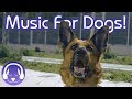 Deep Relaxation Music for Dogs - Calm My Dog Instantly with NEW Reggae Music! (2018)