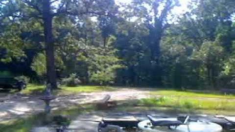 Orion view loader full auto no E-Grip