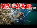 【大寒波による大量死から半年】生き残りの魚はいるのかガサガサで検証してると?