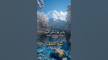 #ماشاءالله #ارح_سمعك #اكسبلور #ارح_قلبك #لايك #اللهم_صل_وسلم_على_نبينا_محمد #تلاوة_خاشعة #راحة_نفسية