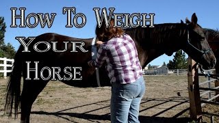 How To Weigh Your Horse