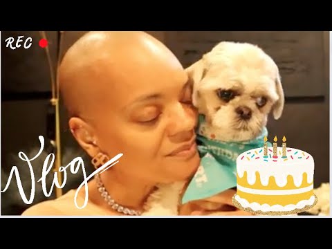 VLOG: Gracie's Birthday + Get Ready with her +Making  a Lazy Dog Cake + Fragrance Oils + new shades