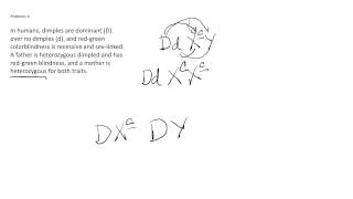 Genetics Problems Based on Mendel's Laws - Sex Linkage