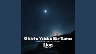 Gökte Yıldız Bir Tane