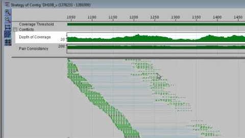 DNASTAR - Analysis in SeqMan