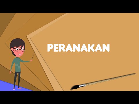 What is Peranakan? Explain Peranakan, Define Peranakan, Meaning of Peranakan