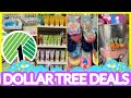 NEW Dollar Tree Shopping Vlog  ~  Insane Easter Spring and Summer Finds at Dollar Tree (3/4/22)