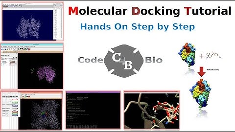 Molecular Docking | Introduction | Autodock | Step by Step Tutorial | Bioinfo | DockingSoftware |