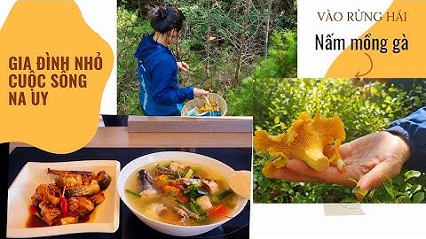 Bữa cơm chiều với cá nục câu nhà Huyền/ Vào rừng tìm nấm mồng gà